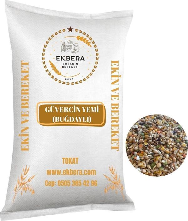 Ekbera Güvercin Yemi (Buğdaylı) – 5 Kg - Image 1