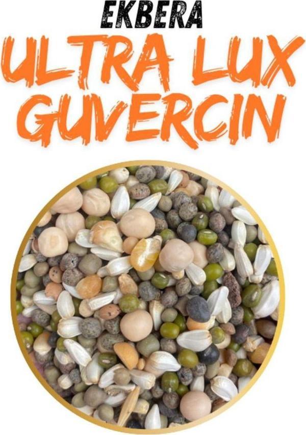 Ekbera Ultra Lüx - Güvercin Yemi - 5 Kg - Image 1