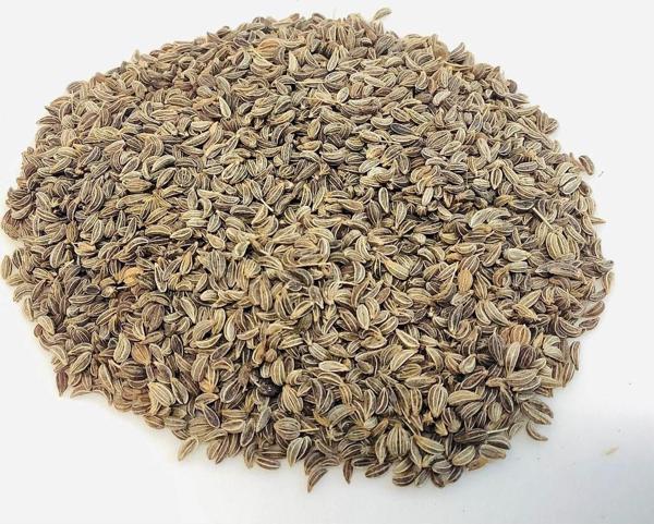 Aydınlı Tohumculuk Maydanoz Tohumu D'Giant İtaliana Çeşidi, 1 Gram, 700 Adet - Image 1