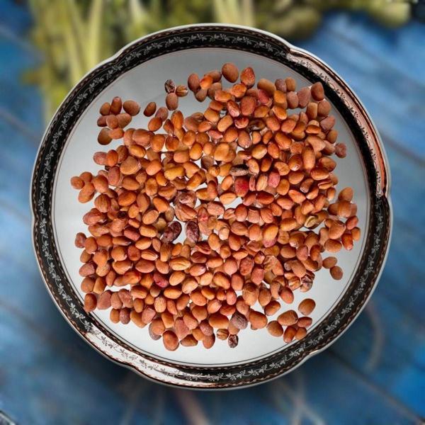 Aydınlı Tohumculuk Yerli İri Kırmızı Turp Mikro Yeşillik Tohumu, 15 Gram - Image 1