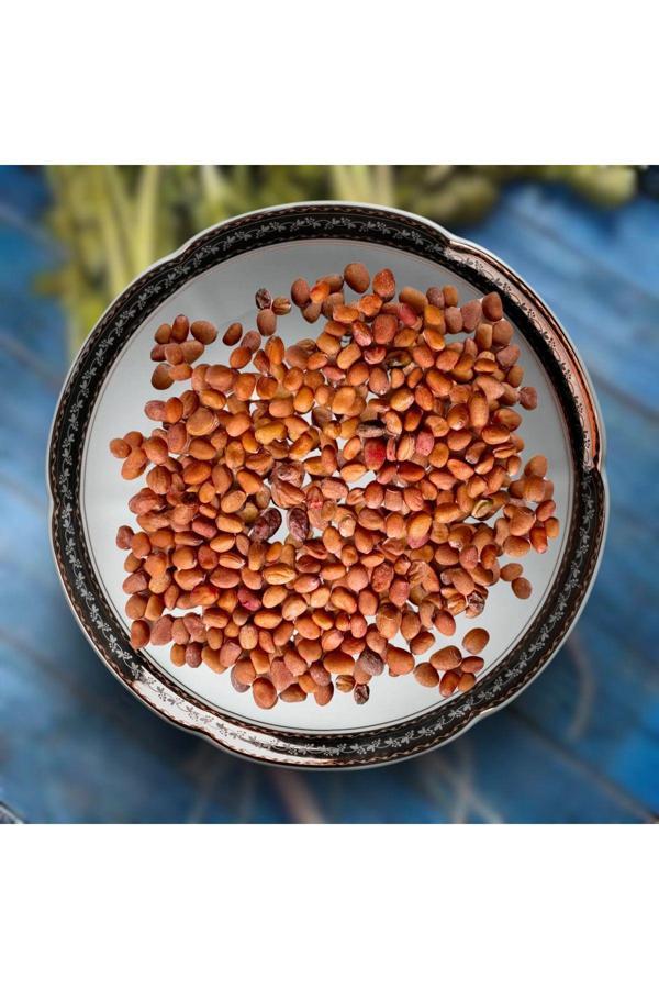 Aydınlı Tohumculuk Yerli İri Kırmızı Turp Tohumu, 1 Gram, 100 Adet - Image 1
