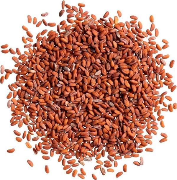 Aydınlı Tohumculuk Yerli Tere Tohumu, Geniş Yapraklı, 1 Gram, 600 Adet - Image 1