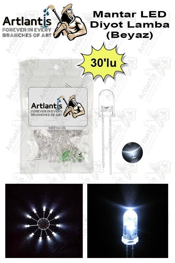 Beyaz Mantar Led Diyot Lamba 30 lu 1 Paket Beyaz 4.8 mm Mini Mantar Led Lamba Deney Bilim Proje Arduino Işığı - Image 1