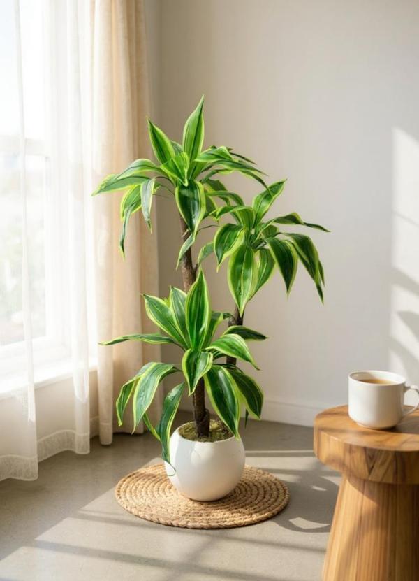Yapay Ağacı Yukka Sarı Şeritli Draceena Ağacı Beyaz Küre Saksıda 100*50cm - Image 1