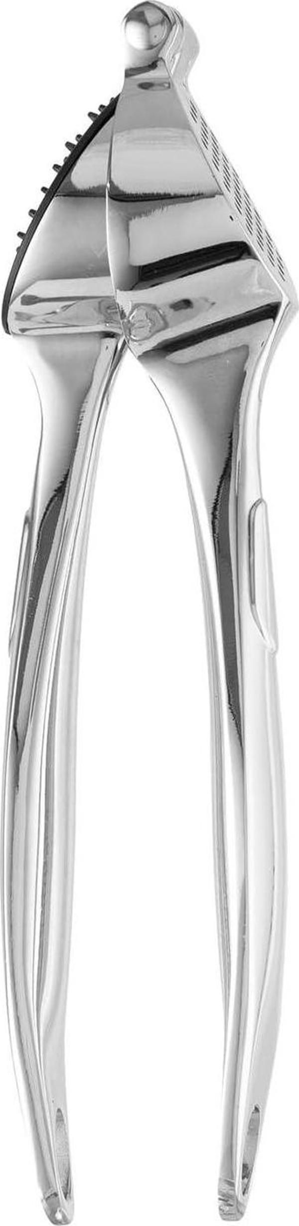 Berghoff Essentials Sarımsak Ezici 19,5 Cm - Image 1