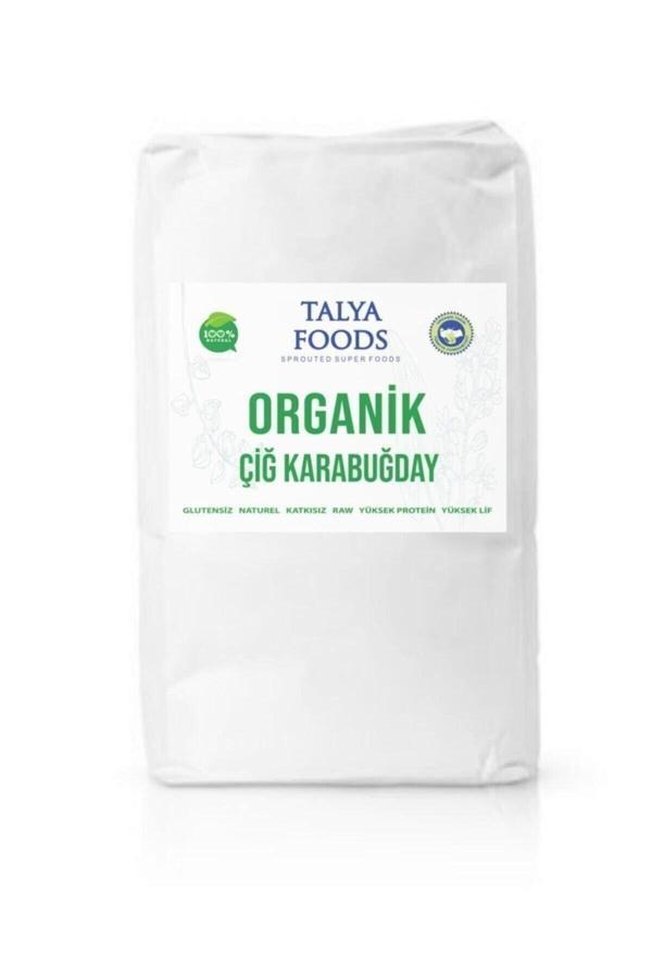 Talya Foods Organik Filizlendirilmiş Çiğ Karabuğday Unu 1 Kg - Image 1