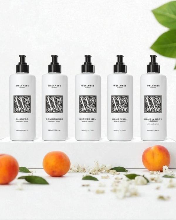 Wellness Exclusive White Tea & Apricot Shampoo 380 ml+Conditioner 380 ml+Shower Gel 380 ml+Hand Wash 380 ml+Hand & Body  - Image 1