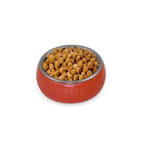 Mikopet Organik Seramik Mama Kabı Kiremit - Image 1