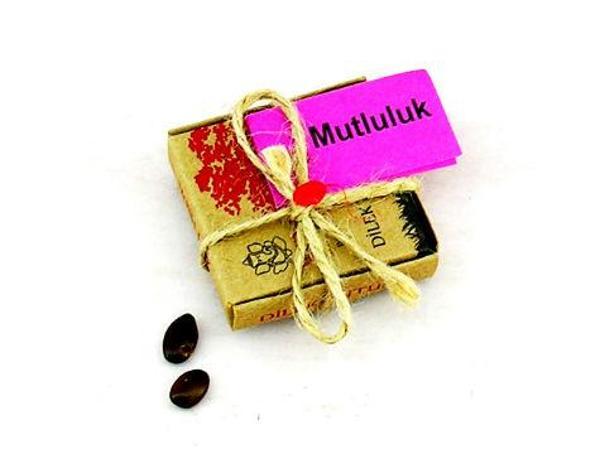 Dilek Tohumları - Mutluluk - Image 1