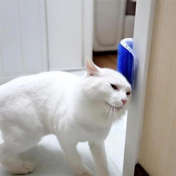  Pratik Kedi Tüyü Kaşıma Ve Tarama Aparatı Duvara Monte Kaşıma Aleti - Image 1