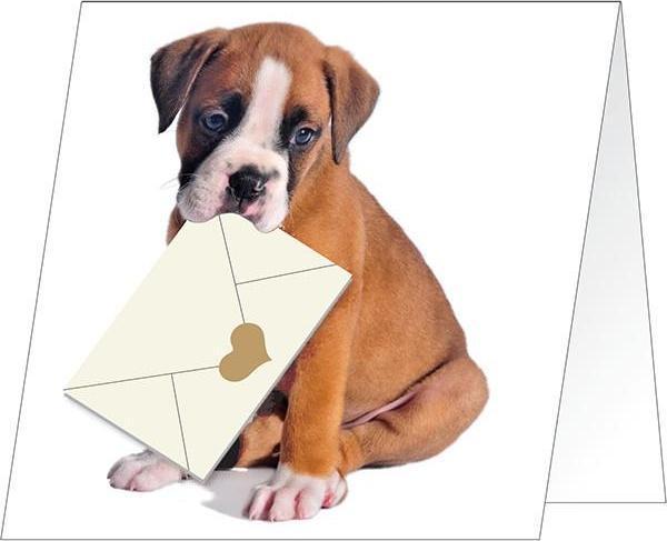 Giller Köpek Özel Gün Kartı - Image 1