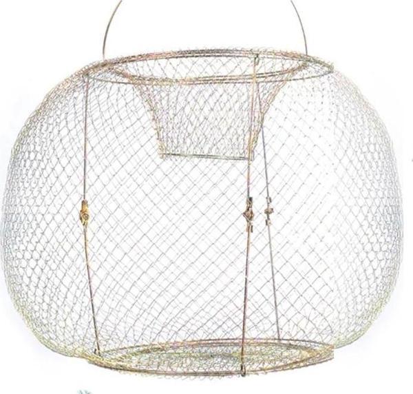 Portfish Davul Pinter - Image 1