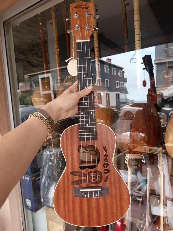Concert Ukulele (kılıf ve pena hediye) - Image 1