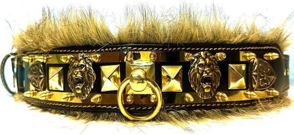 Tasma Market Siyah-Gold Özel Koleksiyon Aslan Başlı Tüylü Deri Köpek Tasması - Image 1