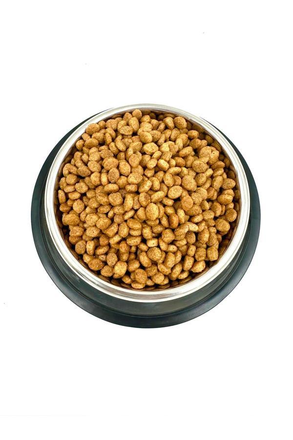 Tasma Market Paslanmaz Çelik Kaydırmaz Taban Köpek Mama Ve Su Kabı 15Cm - Image 1