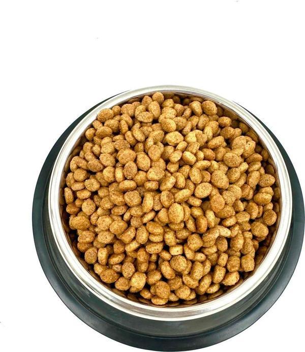 Tasma Market Paslanmaz Çelik Kaydırmaz Taban Köpek Mama Ve Su Kabı 15Cm - Image 1