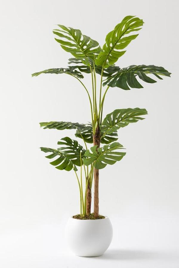 Yapay Deve Tabanı Ağacı (Monstera) 170 Cm Plastik Küre Saksı - Image 1