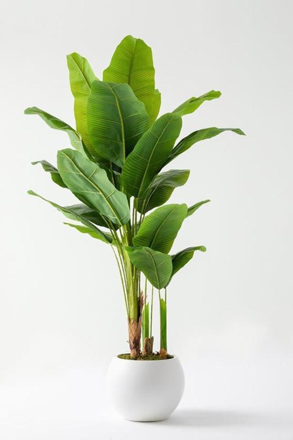 Yapay Muz Ağacı 180 Cm Plastik Küre Saksı - Image 1