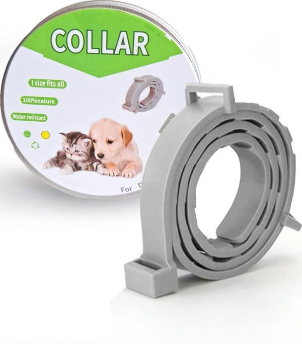 Kedi Anti Pire Kene Önleyici Tasma- 38 Cm Pire Önleyici Tasma, Kene Önleyici Tasma - Image 1