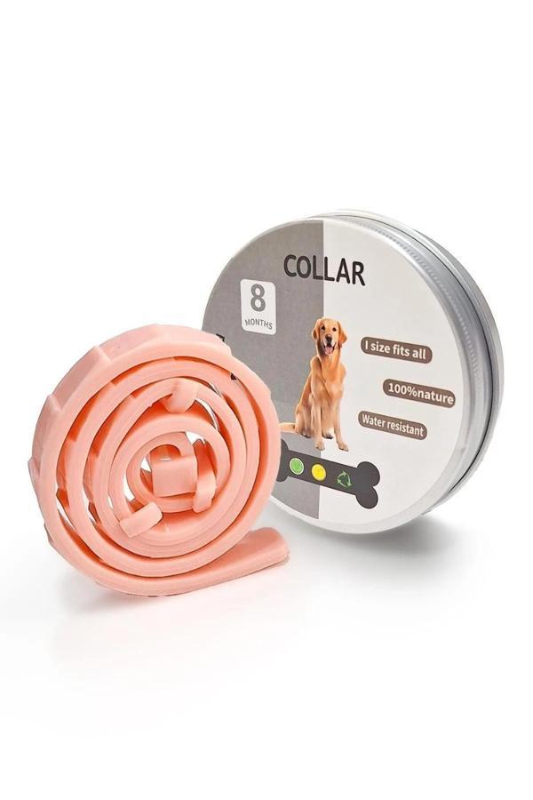 Köpek Anti Pire Kene Önleyici Tasma- Pire Önleyici Tasma-Kene Önleyici Tasma - Image 1
