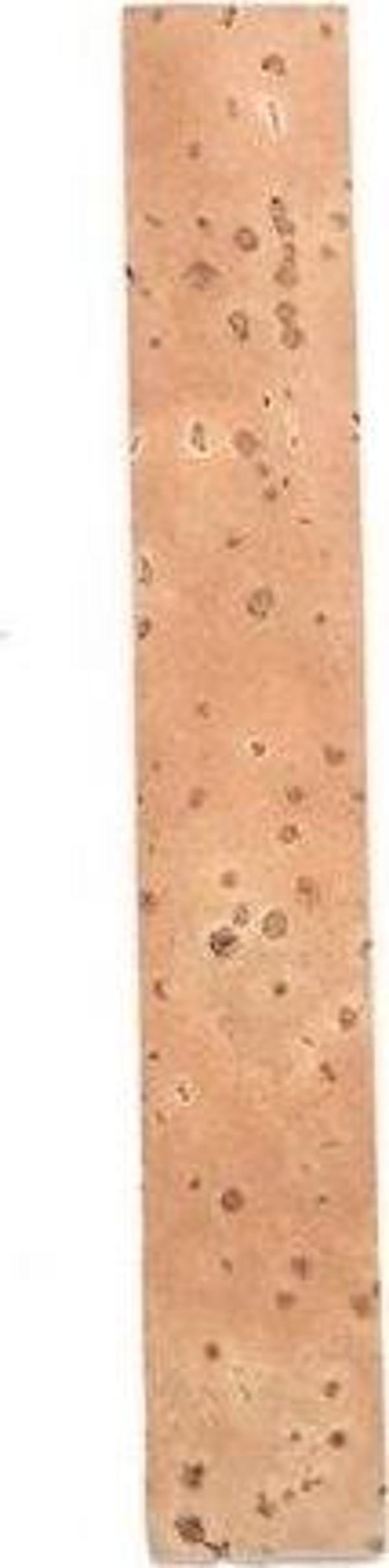 Raymond Joes Bxaw-1 Klarnet Mantar Şerit ( 1 Adet ) - Image 1
