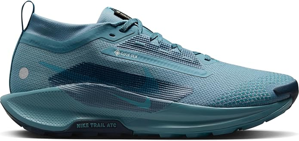Nike Pegasus Trail 5 Gore Tex  FQ0908-005 - Image 1
