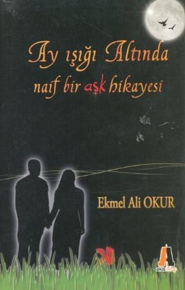 Ay Işığı Altında Naif Bir Aşk Hikayesi - Akis Kitap - Image 1