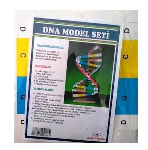 Dna Model Yapım Deney Seti 2 adet - Image 1