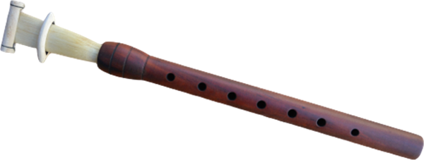 ERİK MEY ORTA BOY 26 CM - LA + NORMAL KAMIŞ HEDİYE - Image 1