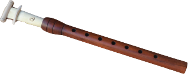 PROFESYONEL ERİK MEY ORTA BOY 24 CM - Sİ + PROF KAMIŞ HEDİYE - Image 1