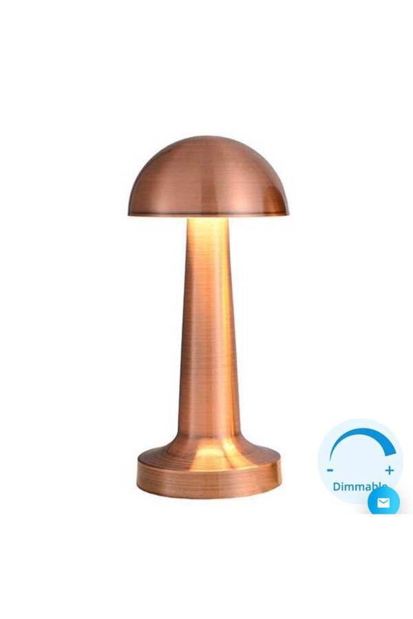 Helios 3 Fonksiyonlu Şarjlı Masa Lambası Bronz (Hs/8107) - Image 1