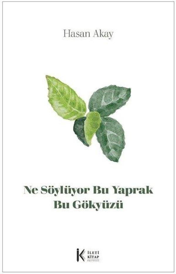 Ne Söylüyor Bu Yaprak Bu Gökyüzü - İleti Kitap - Image 1
