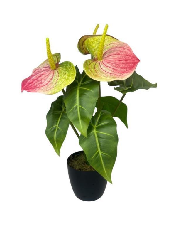 Yapay Çiçek Antoryum Siyah Saksılı Yapay Bitki Salon Çiçeği Pembe Yeşil  - Image 1
