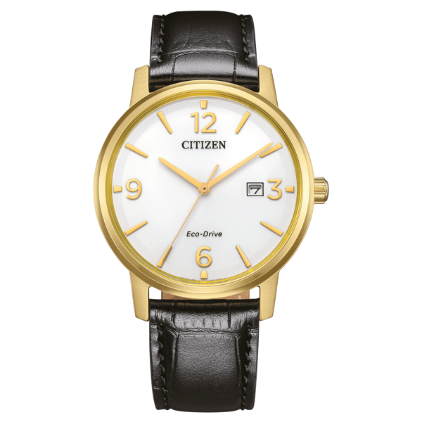 Citizen Eco-Drive BM6756-01A Erkek Kol Saati - Image 1