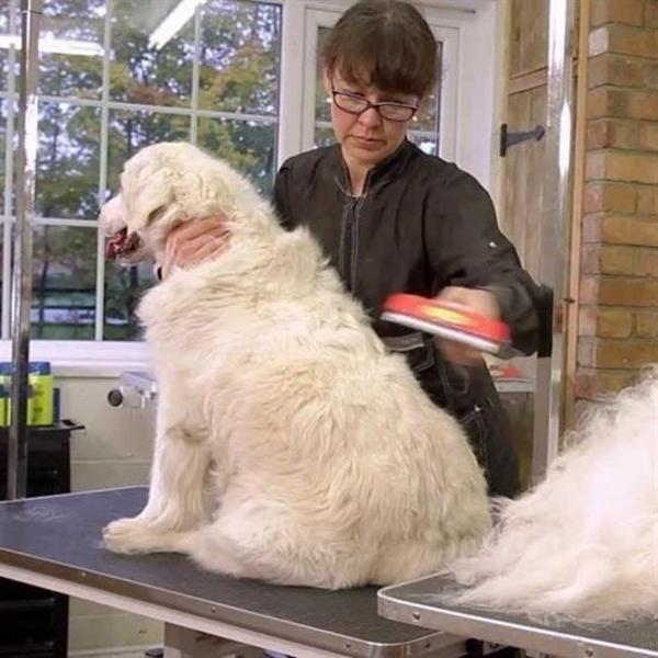 BUFFER® 23 KG Üzeri Uzun Tüylü Köpekler İçin Tüy Toplayıcı Ergonomik Tarak - Image 1
