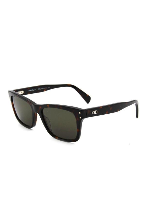 Salvatore Ferragamo SF 1039S C240 ERKEK GÜNEŞ GÖZL - Image 1