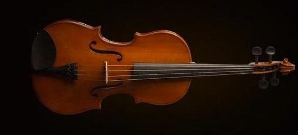 VALENCİA VA16041 VİOLA KUTULU 16 İNCH (40.64CM) - Image 1