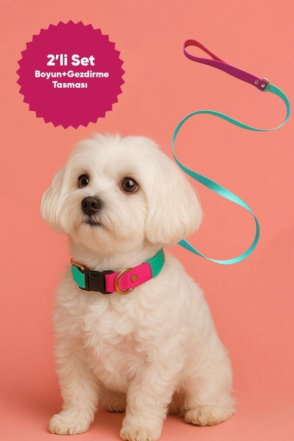 Moodpaw Sugar Mood Ayarlanabilir Köpek Boyun Ve Gezdirme Tasması Seti - Image 1