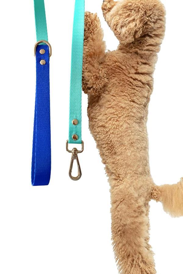 Moodpaw Köpek Gezdirme Tasması Gezdirme Kayışı 120Cm - Image 1