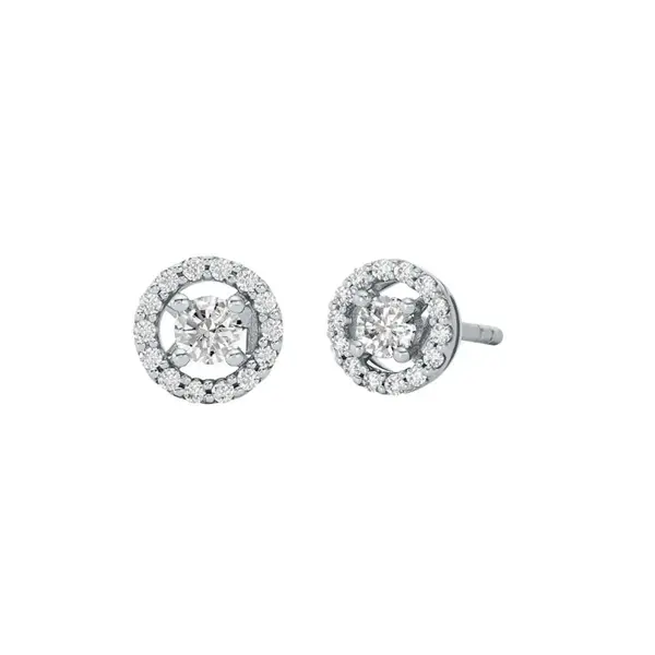 Michael Kors MKC1823-040 Kadın Küpe - Image 1