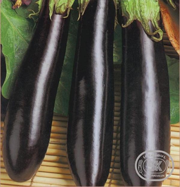 Patlıcan Tohumu Aydın 18 10 gr - Image 1