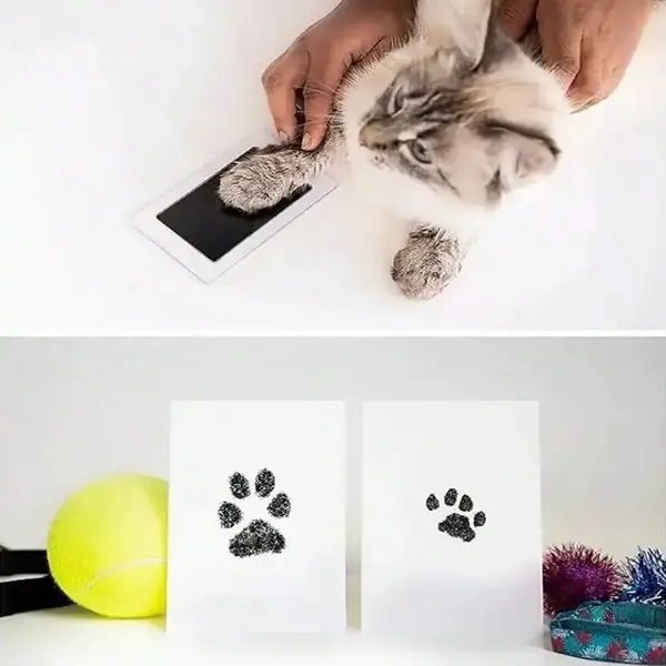 Kedi Köpek Pati İzi Fotoğraf Çerçevesi Seti - Image 1