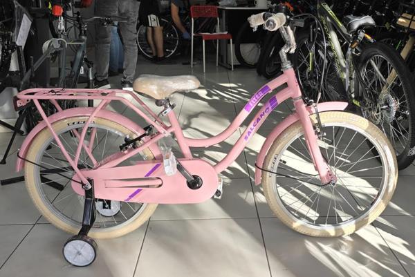 Salcano Flyer 20 Jant Kız Çoçuk Bisikleti (120/140 cm arası boy) - Image 1