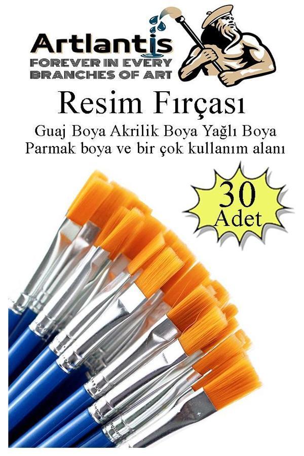 Resim Fırçası 30 Adet Sentetik Fırça Ekonomik Suluboya Akrilik Boya Guaj Boya Yağlı Boya Resim Boyama - Image 1