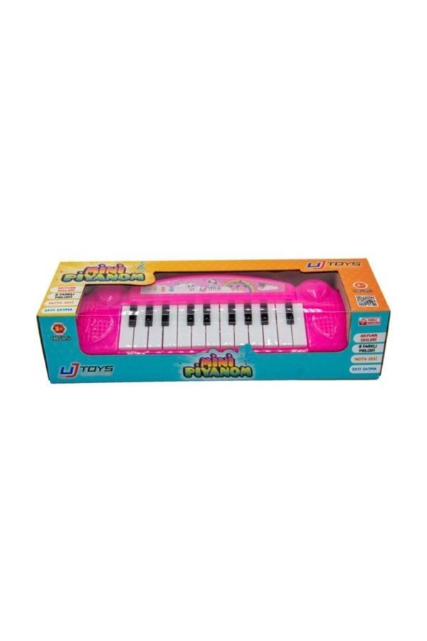 Uj Toys Melodili,Kutulu,Hayvan Sesli,Mini Piyanom Sayı Sayma Ve Nota Sesleri-Pembe - Image 1