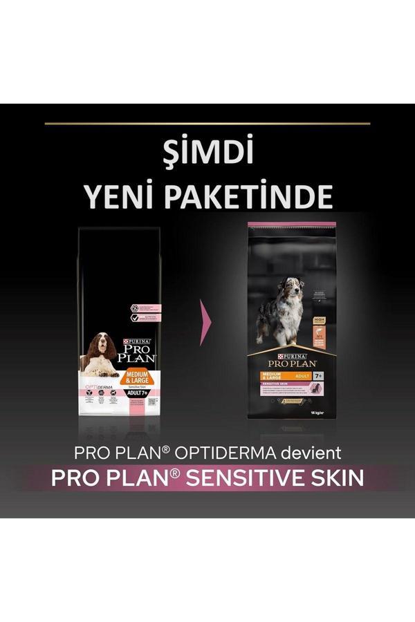 Pro Plan Orta ve Büyük Irk Somonlu Yaşlı Köpek Maması 14 kg - Image 1