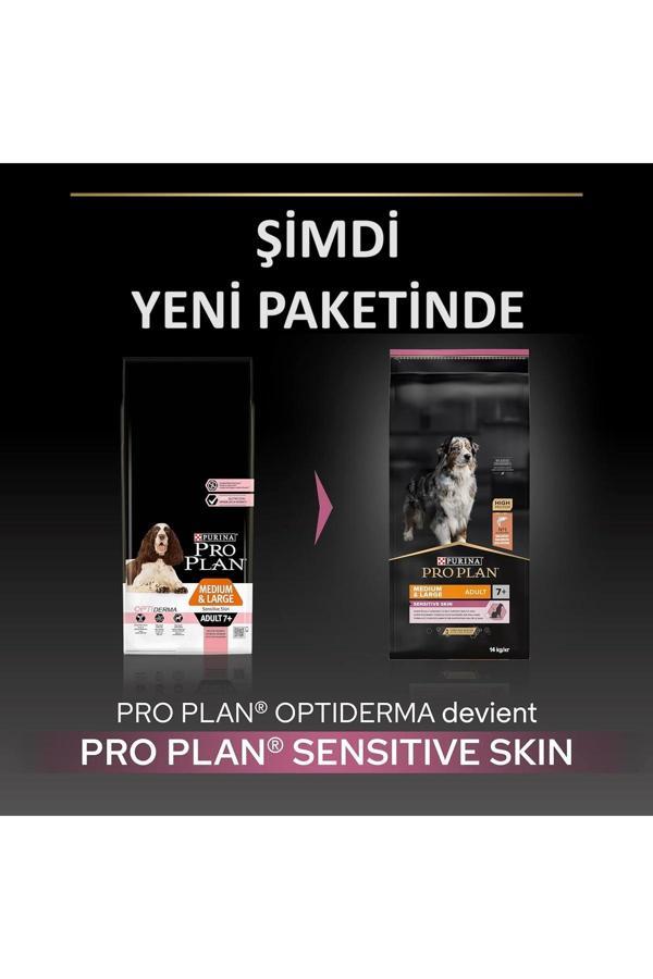 Pro Plan Sensetive Skin Somonlu Yaşlı Köpek Maması 14 kg - Image 1