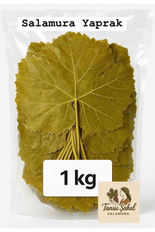 Tansu Şahal 1 Kg Salamura Asma Yaprağı – El Emeği İle Hazırlanmıştır - Image 1