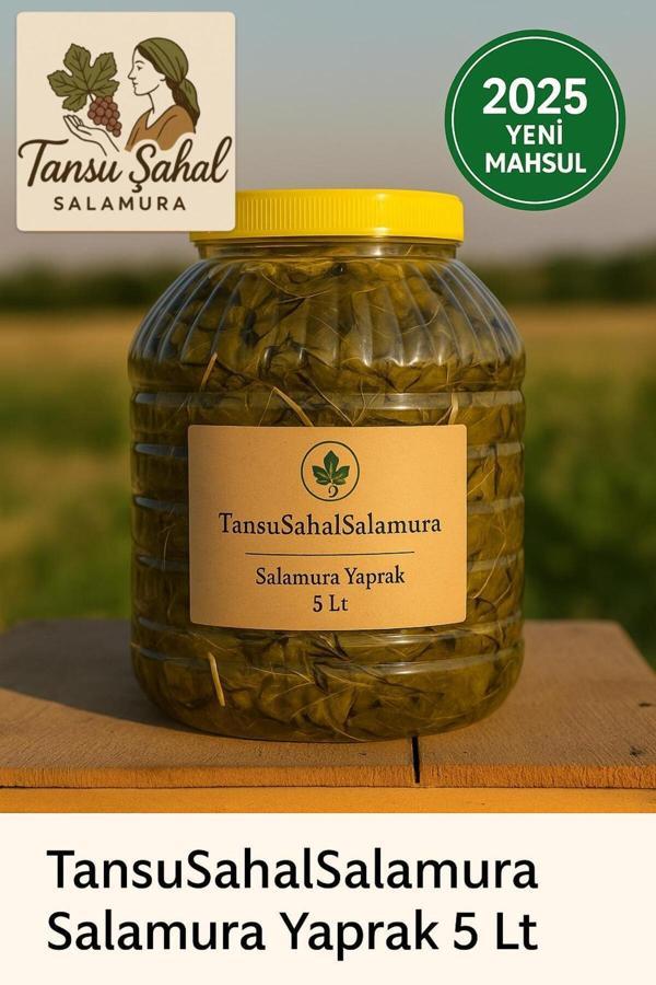 Tansu Şahal 5 Lt Pette Katkısız Ev Yapımı Salamura Asma Yaprağı | Nenem Usulü | 3 Kg Net Yaprak - Image 1