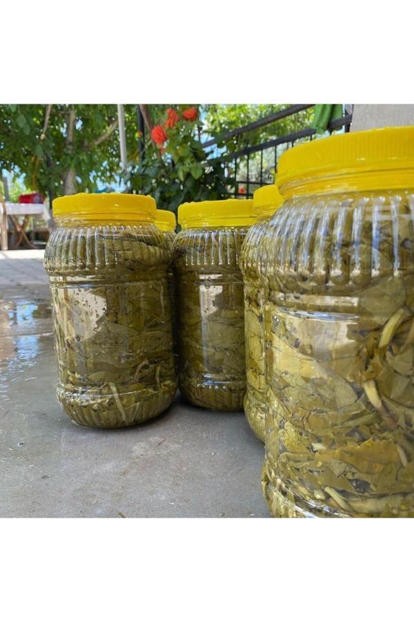 Tansu Şahal Salamura Yaprak (Manisa Yaprağı) 5Lt - Image 1